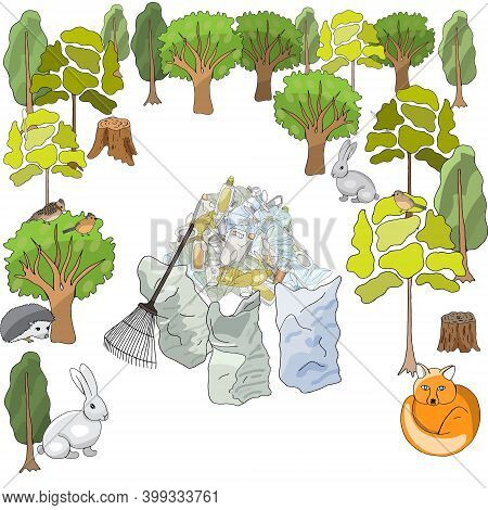 Pollution Of The Environment. Garbage And Waste In Forests, In Wildlife. Different Types Of Garbage.