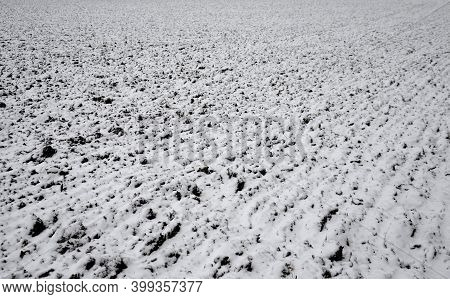 Texture Of Black-white Field And Border Meadow Of Snow And Black Furrow In December In Lowland. Clou