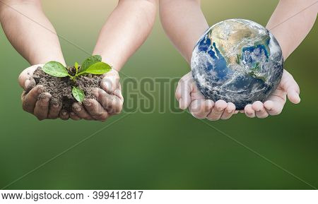 World Environment Day Concept. Two Human Hands Holding Earth Globe And Big Tree Over Blurred Nature 