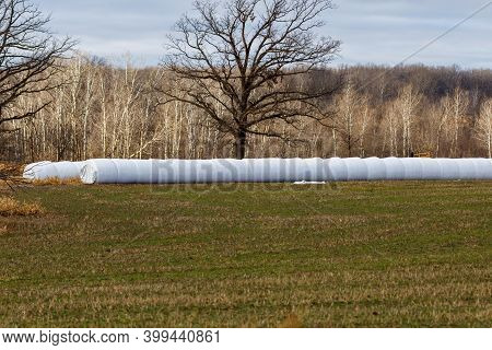 Wrapped Round Bales From An Inline Bale Wrapper To Make Round Bale Silage For Livestock Feed. Select