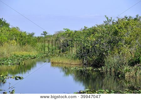 Parque Nacional de Everglades