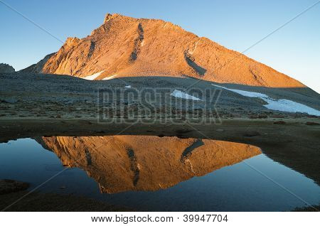 Monte Tyndall