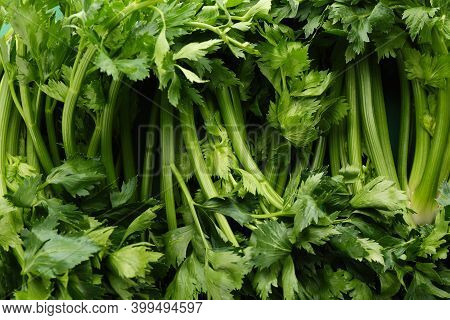 Fresh Green Celery As Background, Closeup View