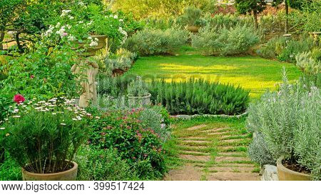 English Cottage Garden On Green Grass Lawn Backyard, Infomal Landscape Decorate With Roses, Rosemary