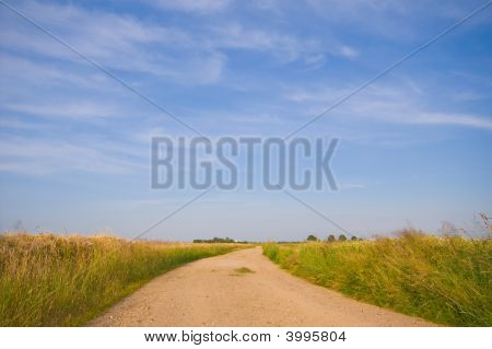 国家路槽 Farmlandscape