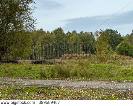 Trees And Heathland Habitat In Skipwith Common National Nature Reserve, North Yorkshire, England
