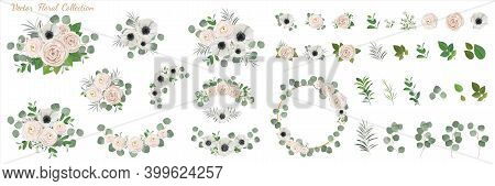 Set of floral elements. anemone ranunculus rose peony flowers, eucalyptus branches wreath green leaves and flowwers. Vector arrangements for greeting card or weddong invitation design