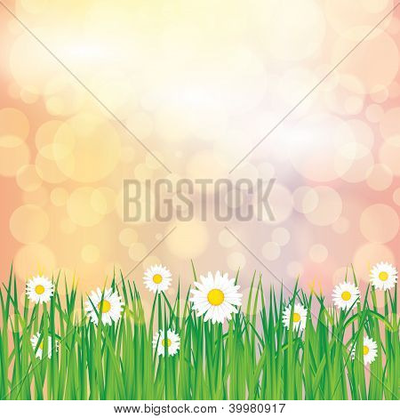 Abstract Spring Summer Background
