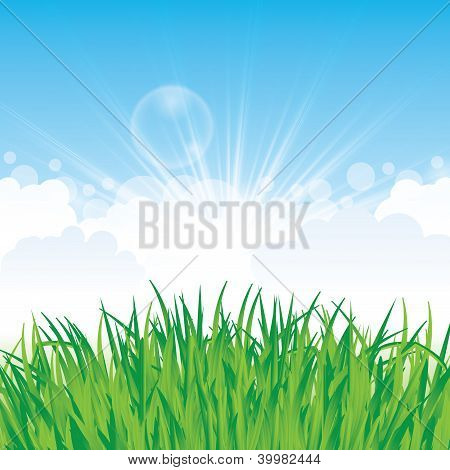 Beautiful Spring Background