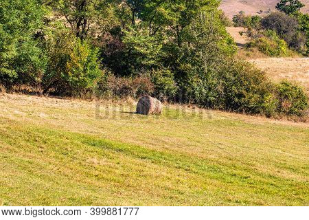Agricultural Field With Haystacks, Stack Of Round Hay Bales. Hay Balls On A Field.