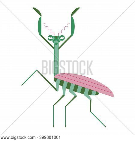 Praying Mantis Icon In Geometric Flat Style