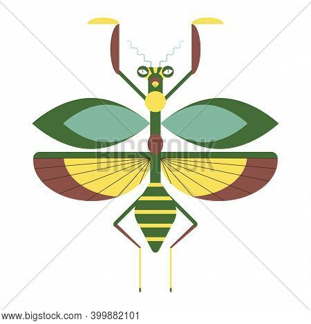 Praying Mantis Icon In Geometric Flat Style