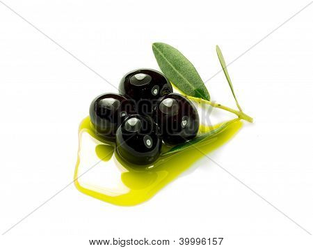Olivee yağı