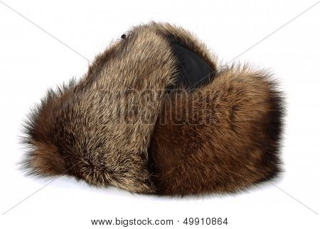 Winter raccon fur hat isolated on white