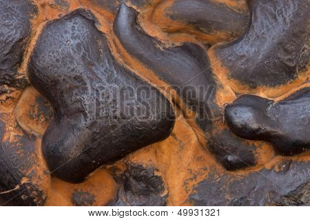 Iron