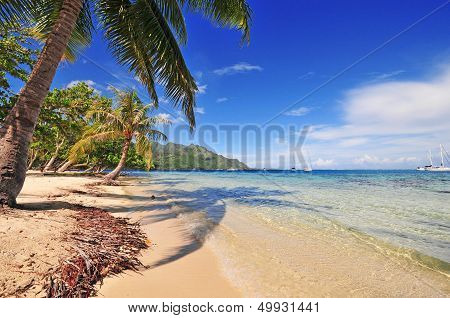 Quiet Sandy Beach, Moorea, Tahiti