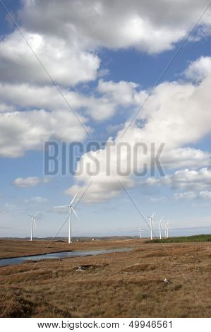 Bogland With Wind Turbines
