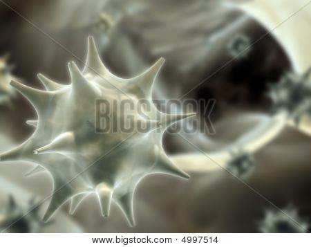 Virus