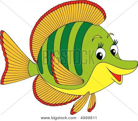 Korallenfische