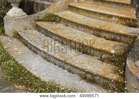 Steps To English Mansion With Litchen