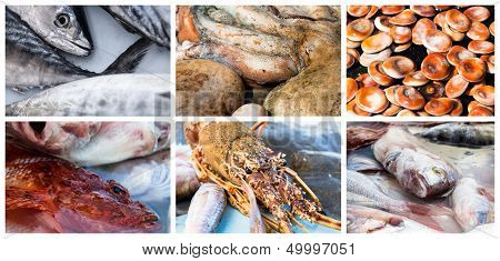 Collage Of Raw Seafood