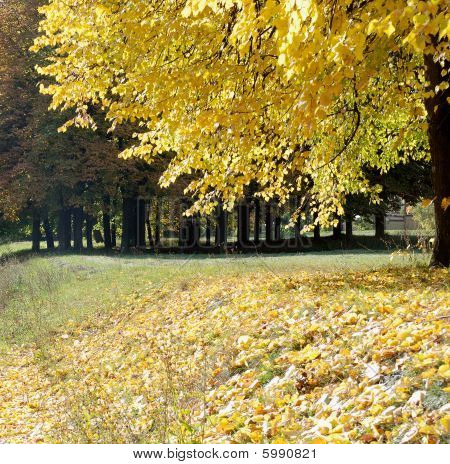 Autunno