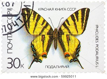 Stamp Printed In The Ussr Shows Butterfly Iphiclides Podalirius