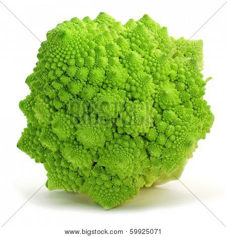 a romanesco broccoli on a white background 