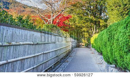 The Path To Chikurin-no-michi (bamboo Grove) At Arashiyama In Kyoto