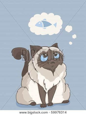 Colorpoint Cat Dream About Fish