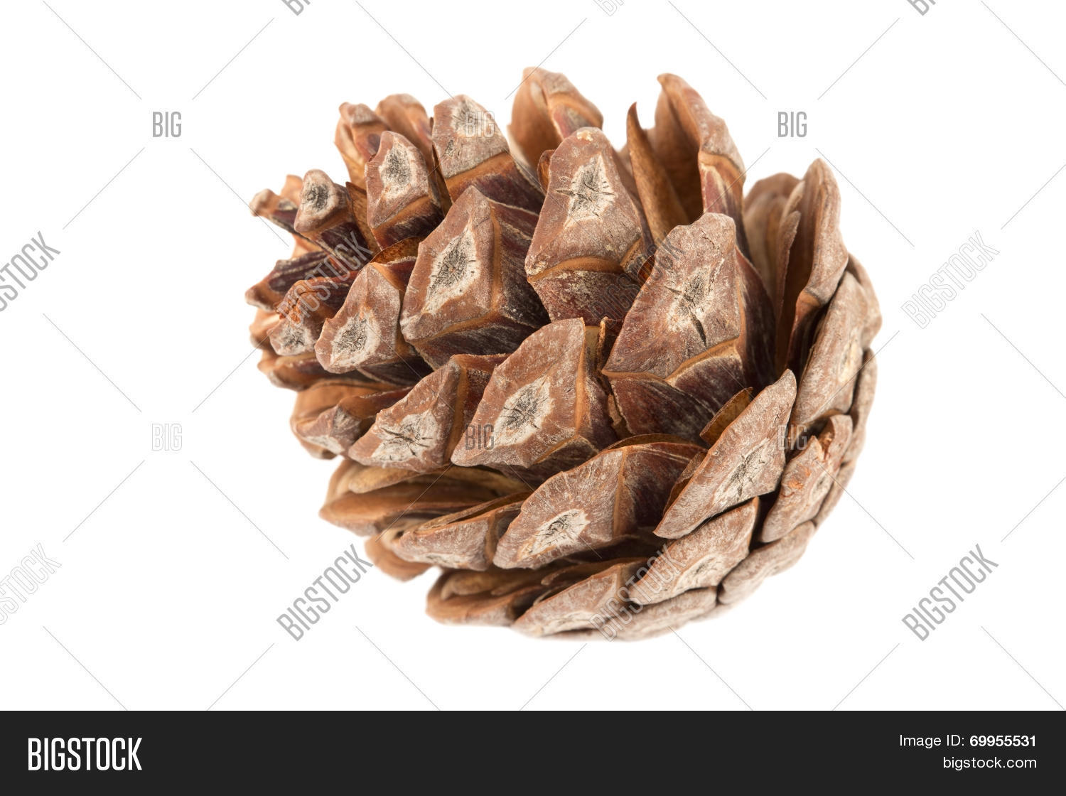 Image Preview