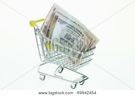 Indian Rupee In Shopping Cart