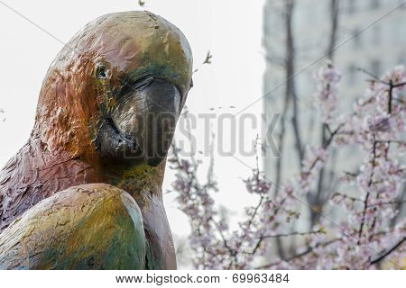 Parrot