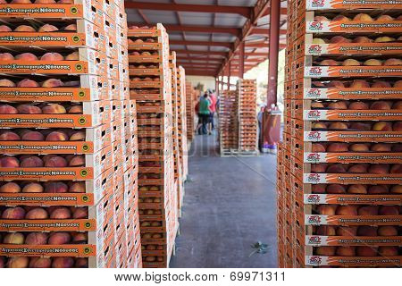 Products Of Agricultural Cooperative Of Naoussa, Greece, Carried In Boxes. The Famous 