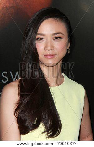 LOS ANGELES - JAN 8:  Tang Wei at the 