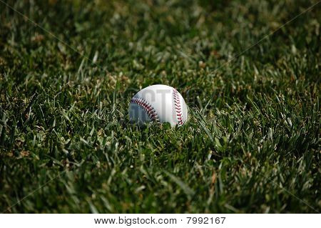 Baseball