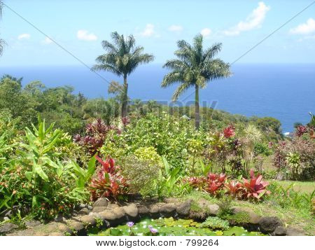 Édenkert a a raod, Hana, Maui.
