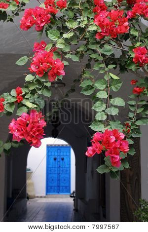 Sidi Bou Said