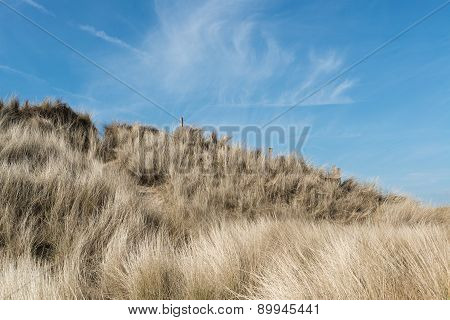 Sand Dune With Marram Grass On Sunny Summer Day
