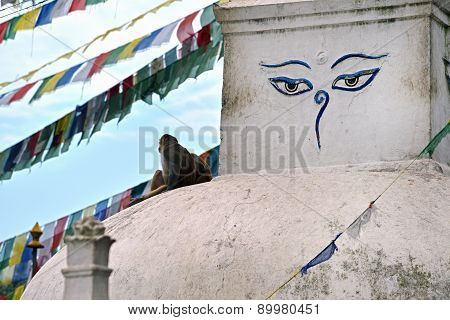Buddhist Stupa Of Swayambhunath, Kathmandu Remained Intact After The Massive Earthquake That Hit Nep