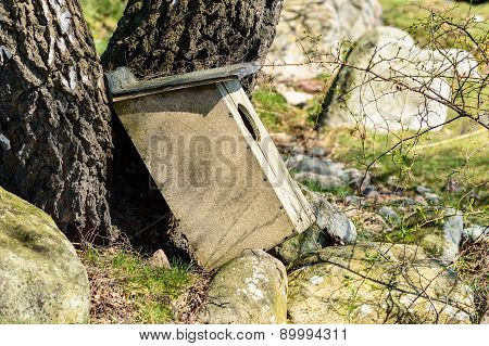 Fallen Home