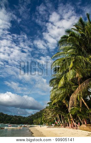 Beautiful Empty Port Barton Beach With Blue Sky And Palm Trees Palawan Philippines