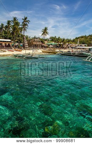 Green Coast Of Tropical Apo Island- Philippines