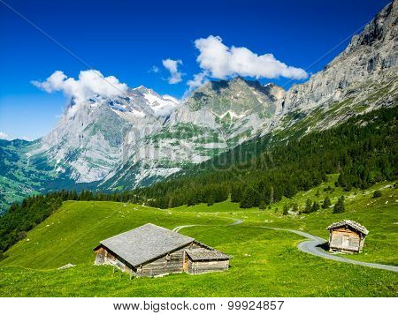 Alps scenery with Grindelwald Village in Berner Oberland Switzerland Swiss