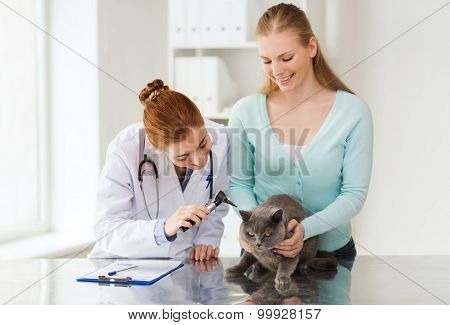 medicine, pet, animals, health care and people concept - happy woman and veterinarian doctor with otoscope checking up british cat ear at vet clinic