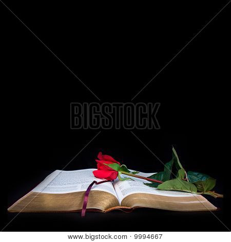 Graphique Bible ouverte