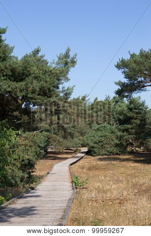 Planks way