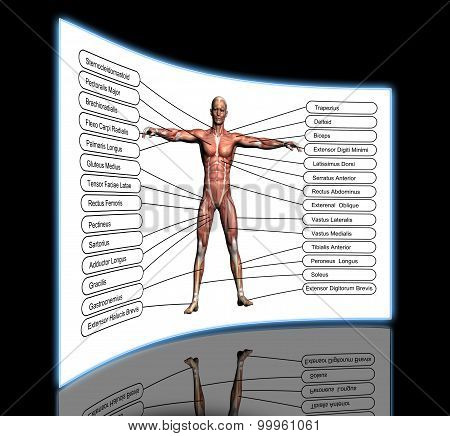 High Resolution Concept Or Conceptual 3D Human Anatomy