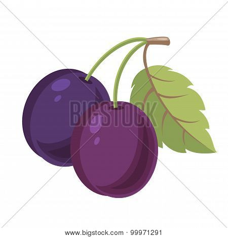 Plum.eps