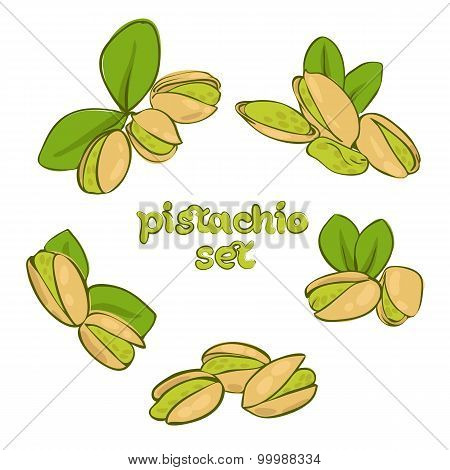 pistachio
